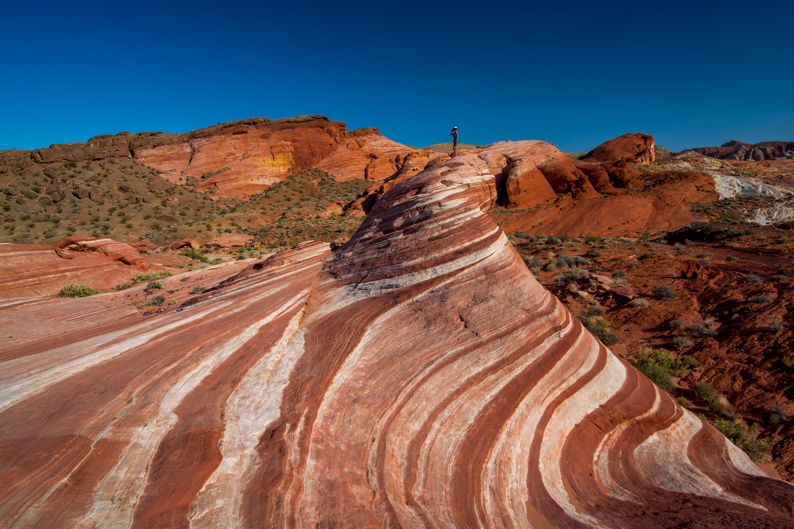 Die Fire Wave im Valley of Fire – Nevada - Juni 2014