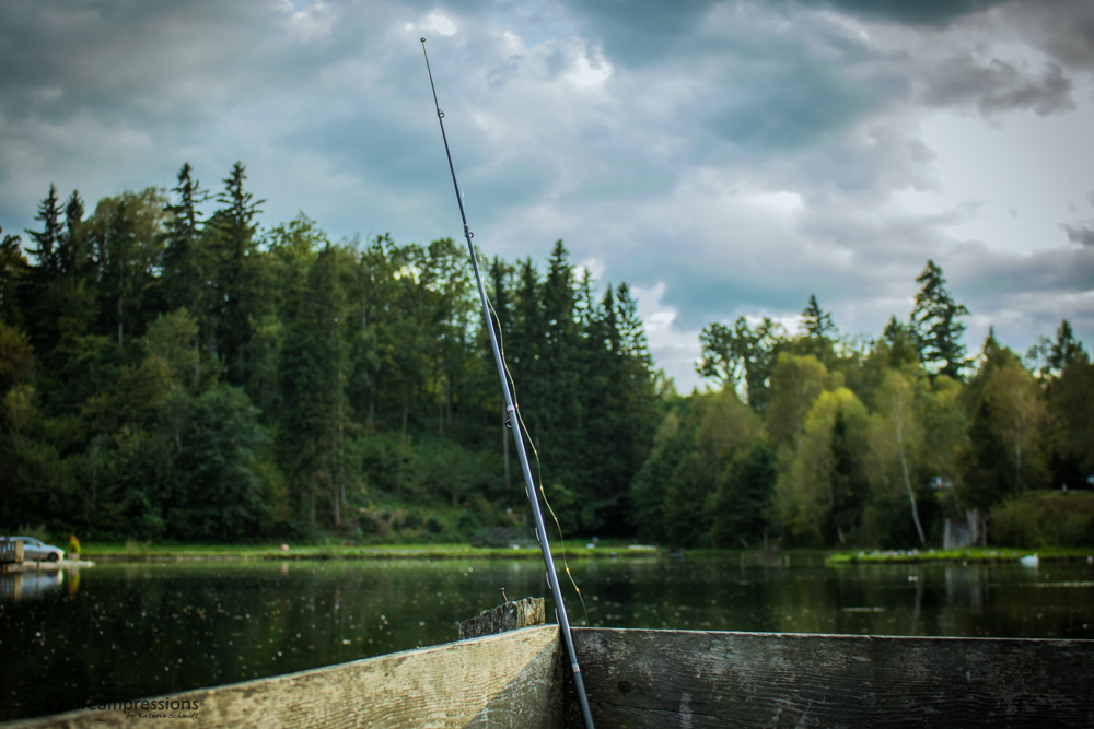 Die Fische beißen lassen