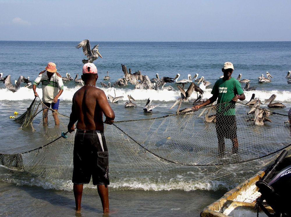 Die Fischer von juadri 