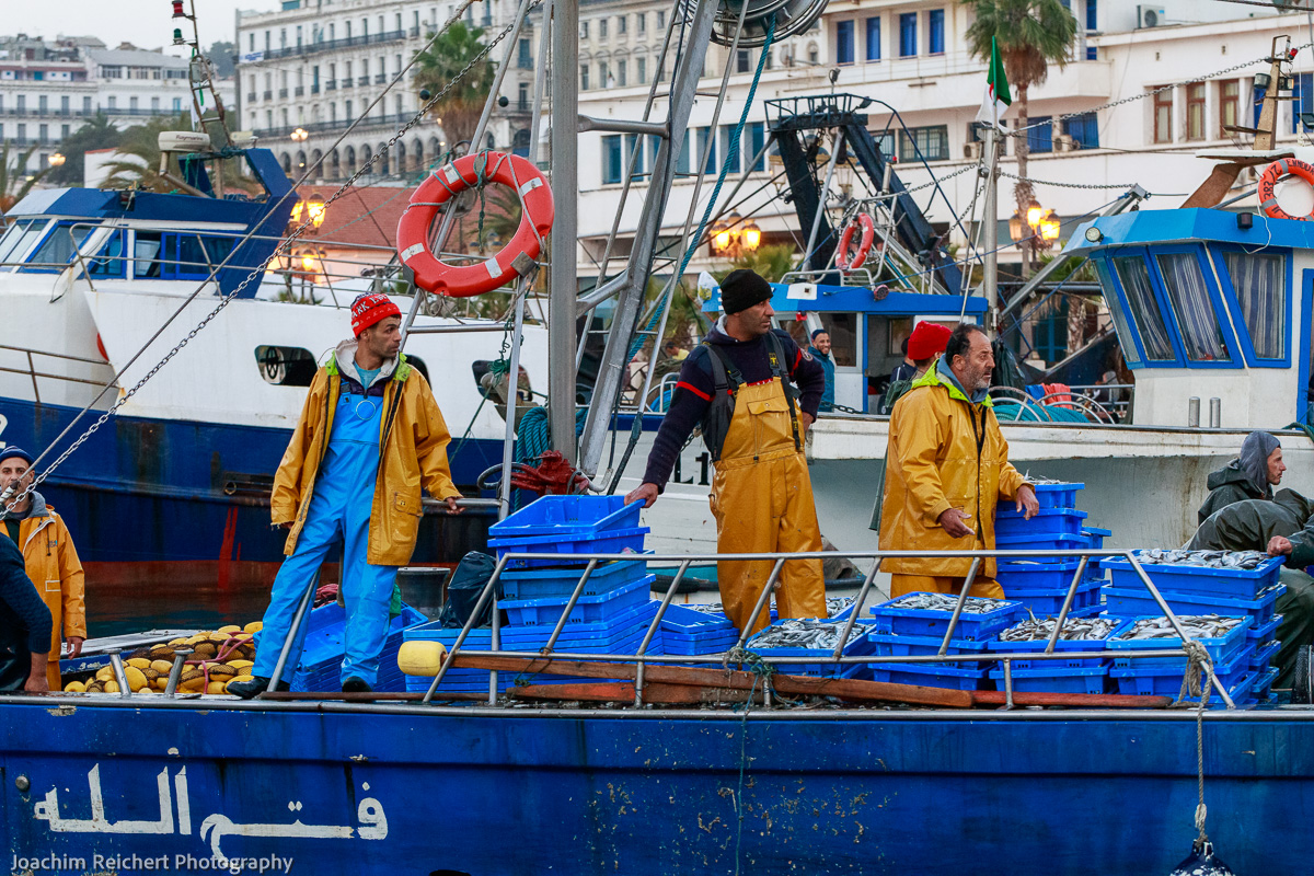 Die Fischer kehren mit ihrem Fang in den Hafen zurück