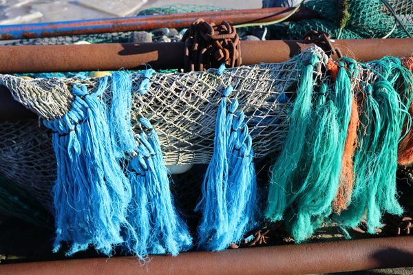 Die Fischer mögens bunt