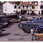 Die Fischer von Camara de Lobos...