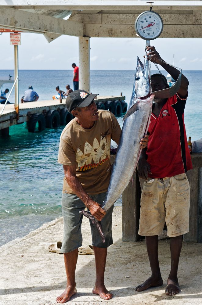 Die Fischer von Playa Grandi freuen sich über einen Thunfisch