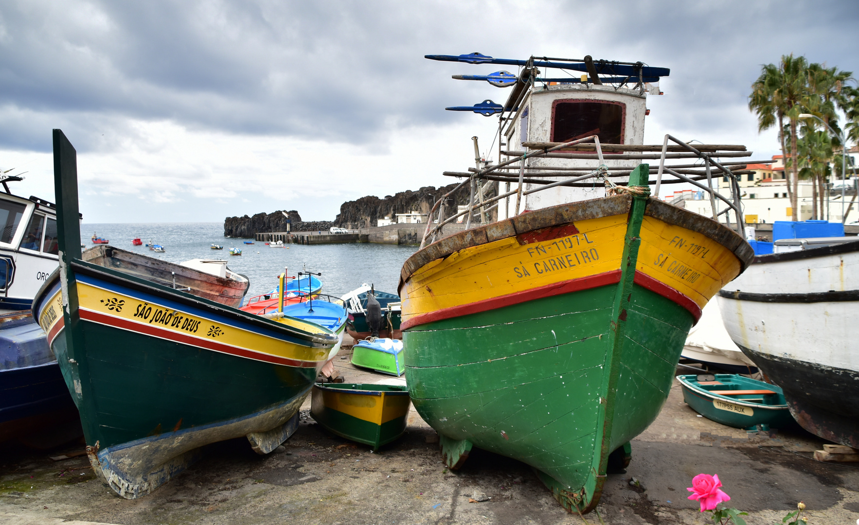  Die Fischerboote von Camara de Lobos