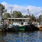 Die Fischereiflotte bei Bandar-e Anzali...