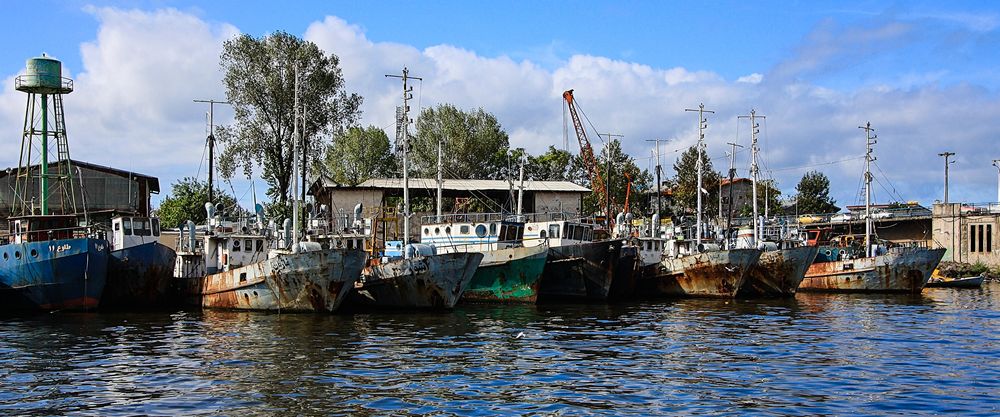 Die Fischereiflotte bei Bandar-e Anzali...