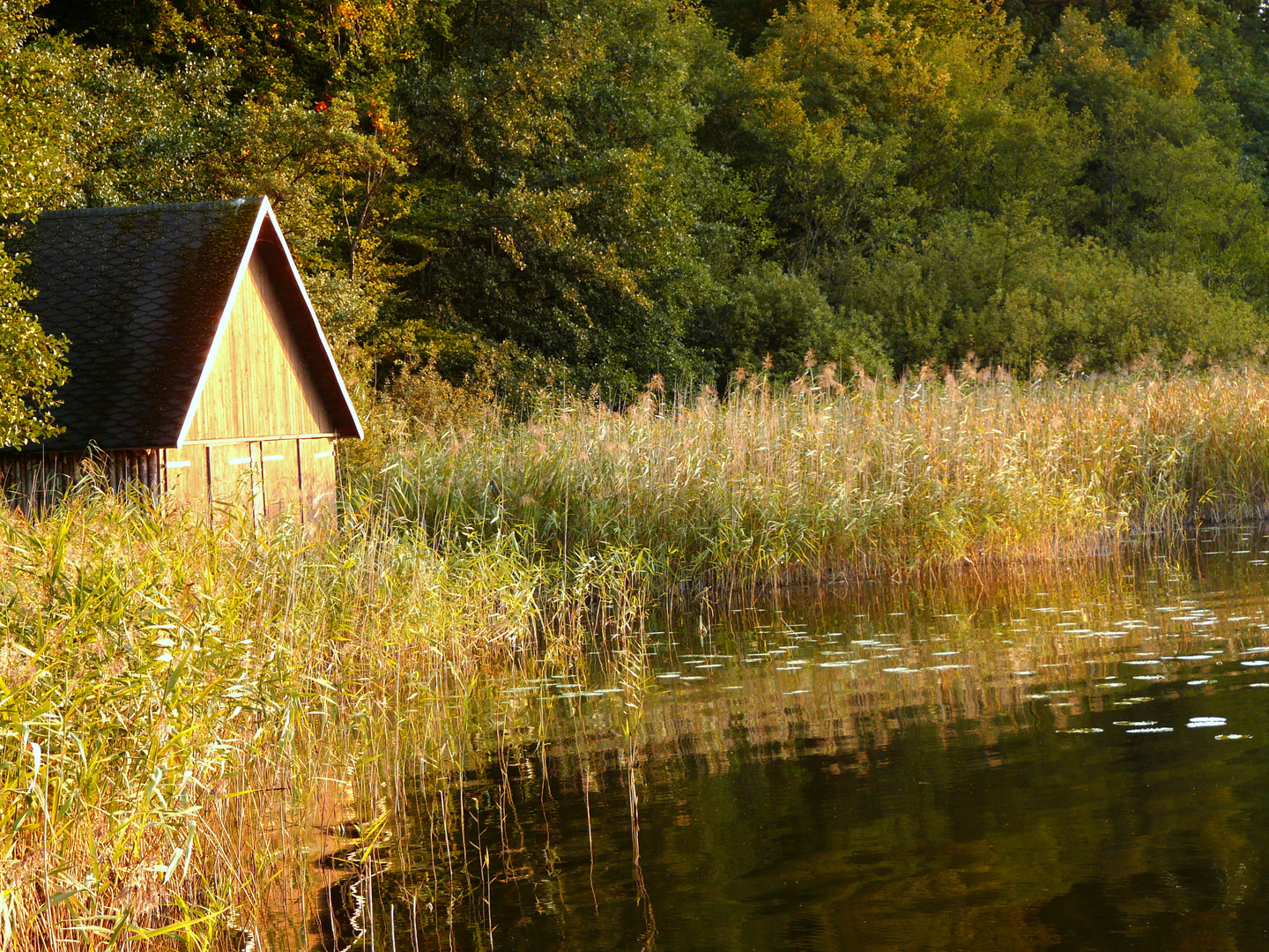 die Fischerhütte nebenan