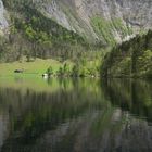 Die Fischunkelalm