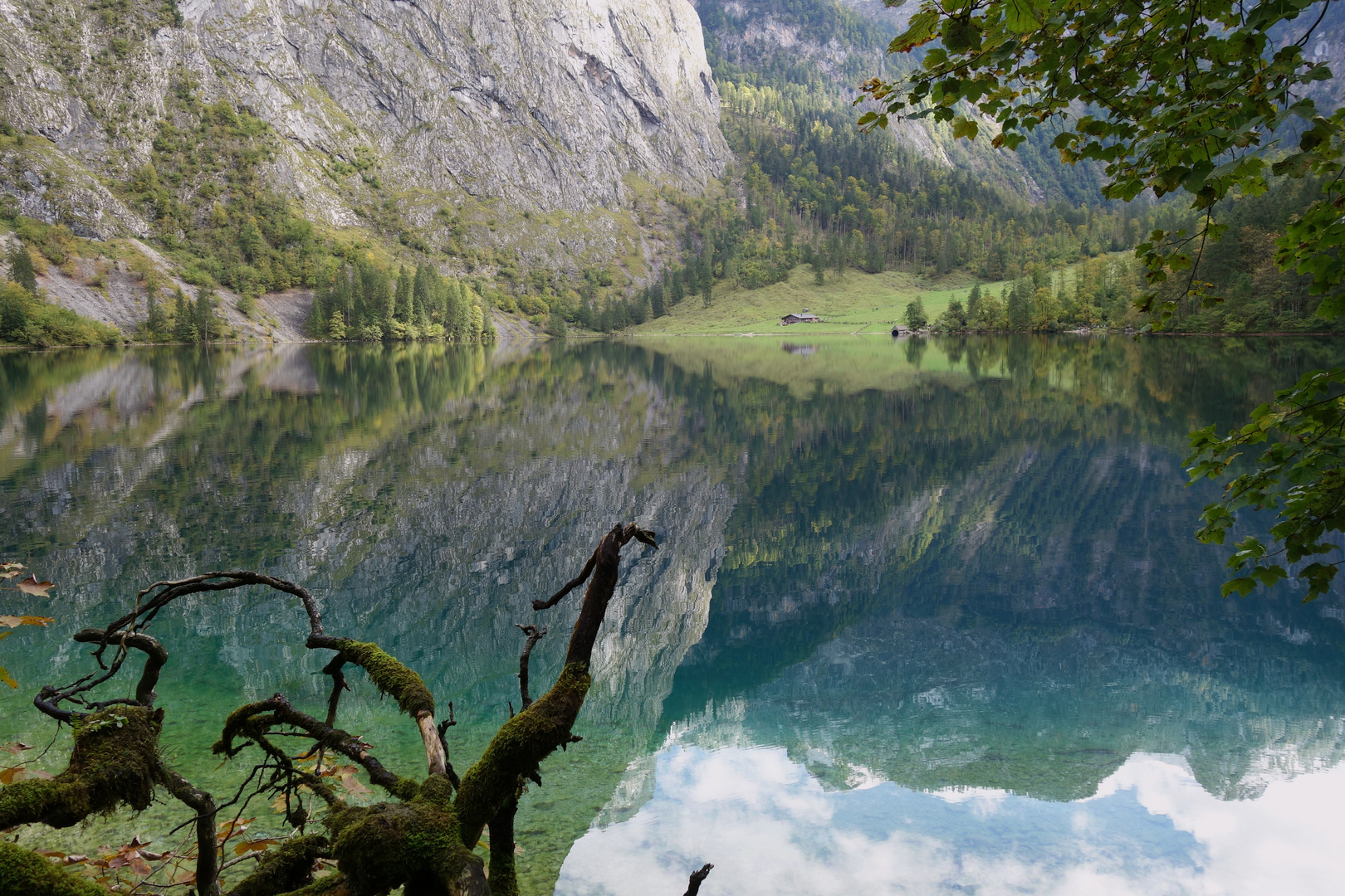 Die Fischunkelalm am Obersee...