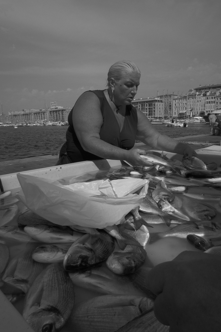 Die Fischverkäuferin, Marseille