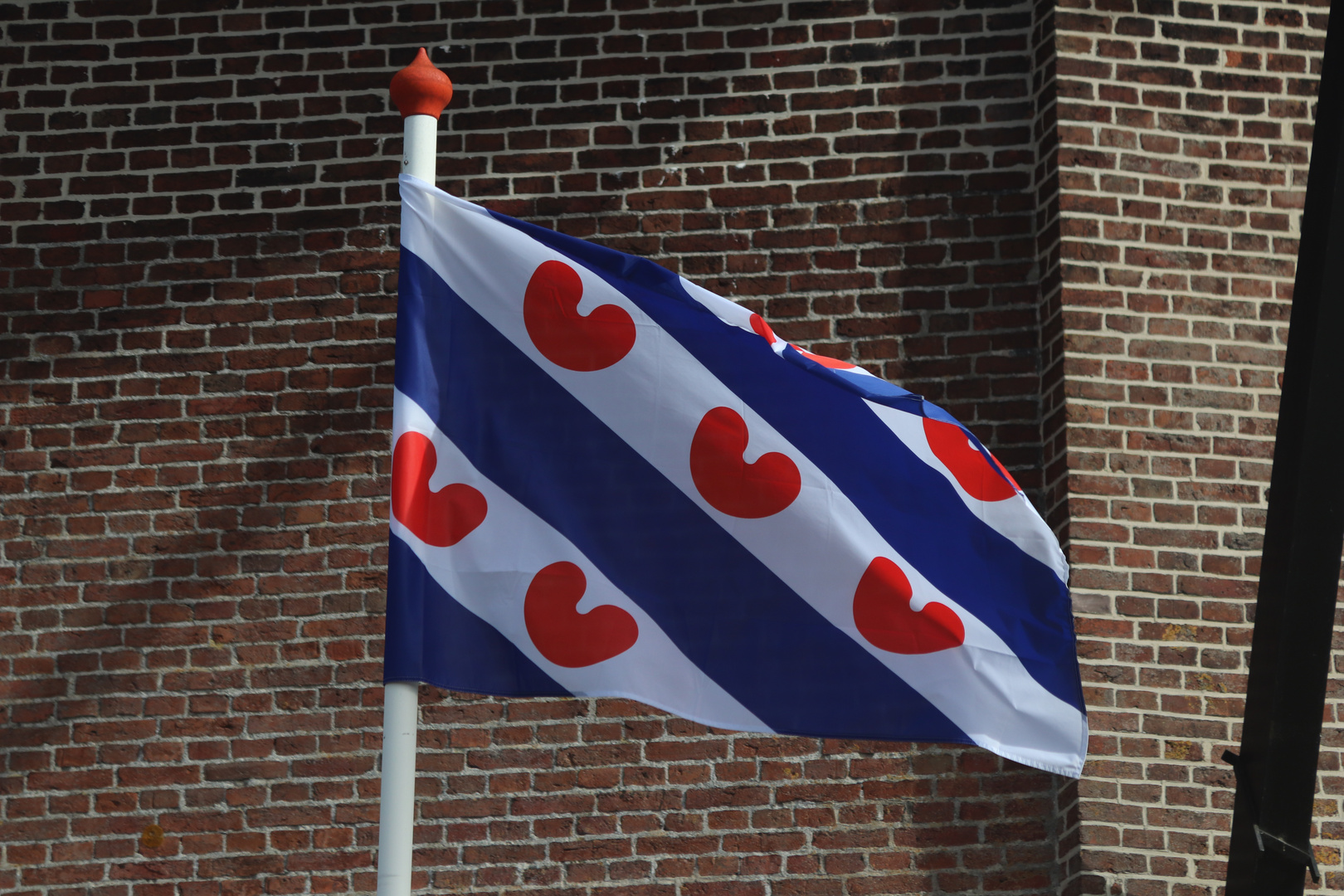 Die Flagge Frieslands/NL