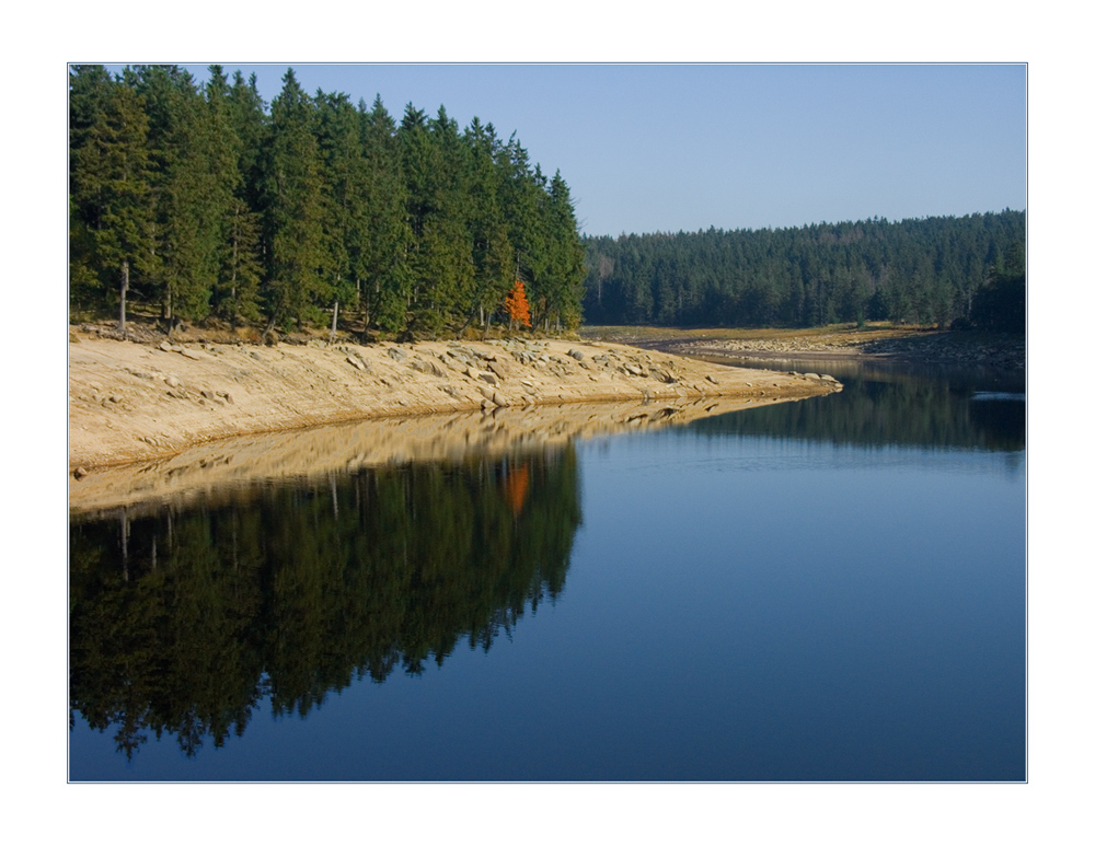 Die Flamme des kleinen Ahorns...  (2. der Serie "Harz-Wanderung")