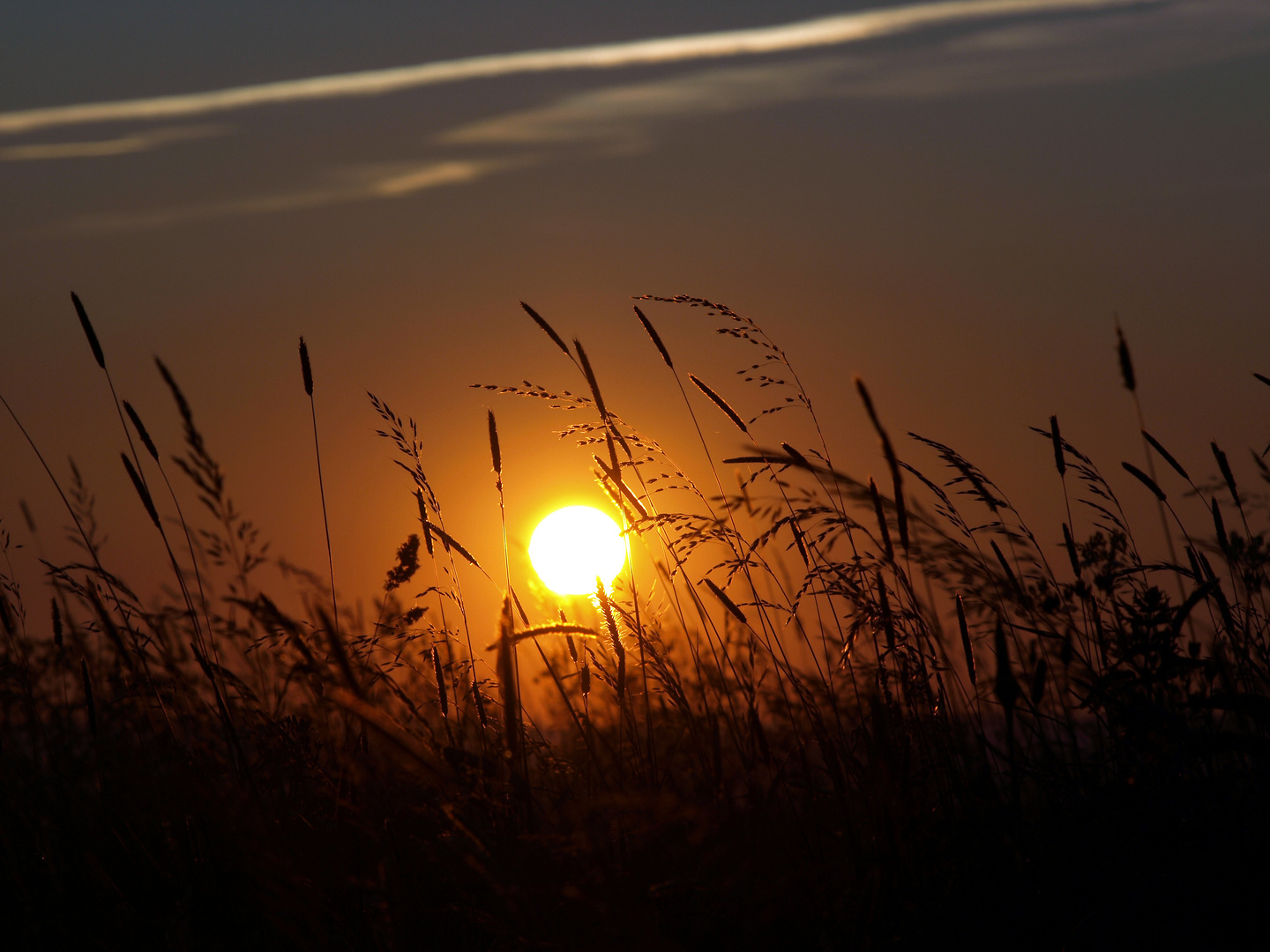 die flammende Zeit des Abendhimmels