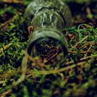 Die Flasche im Wald