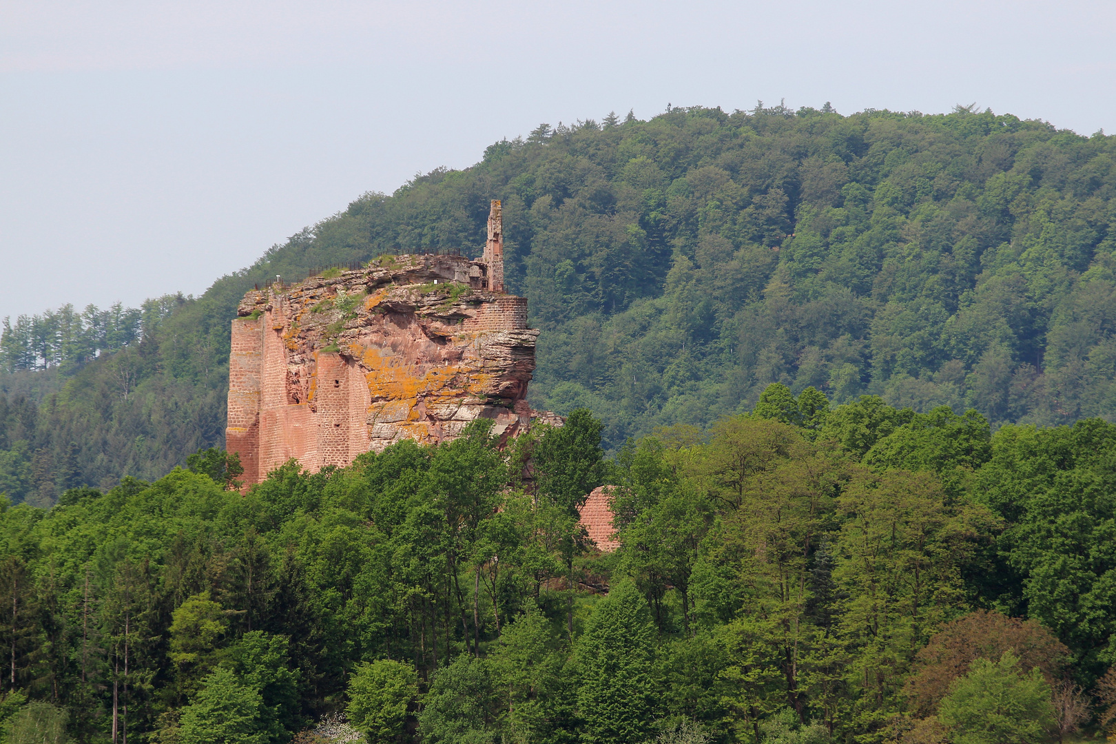 Die Fleckenstein