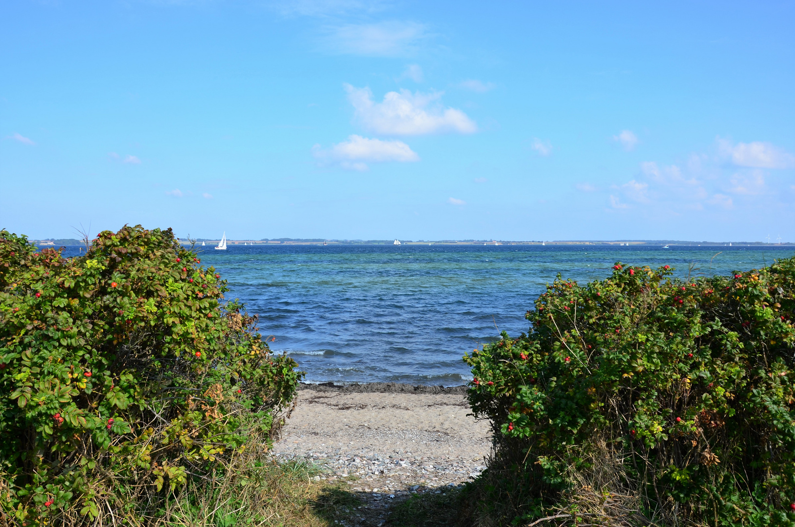 Die Flensburger Förde