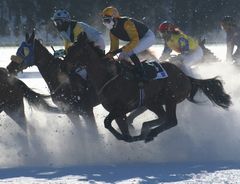 Die fliegenden Pferde vom Engadin