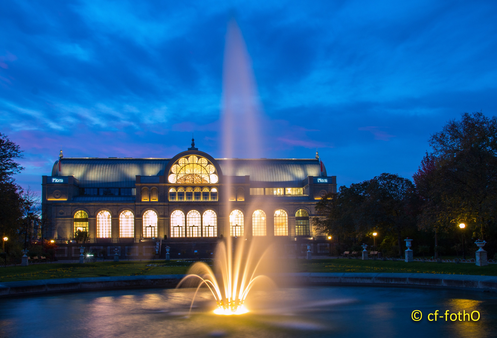 Die Flora in Köln ( Botanischer Garten)