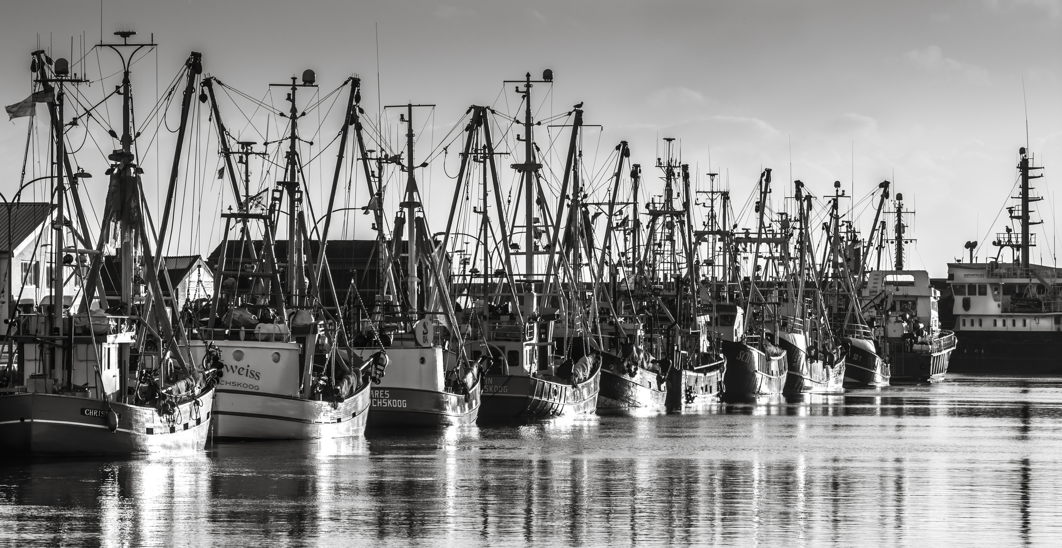 Die Flotte im Hafen