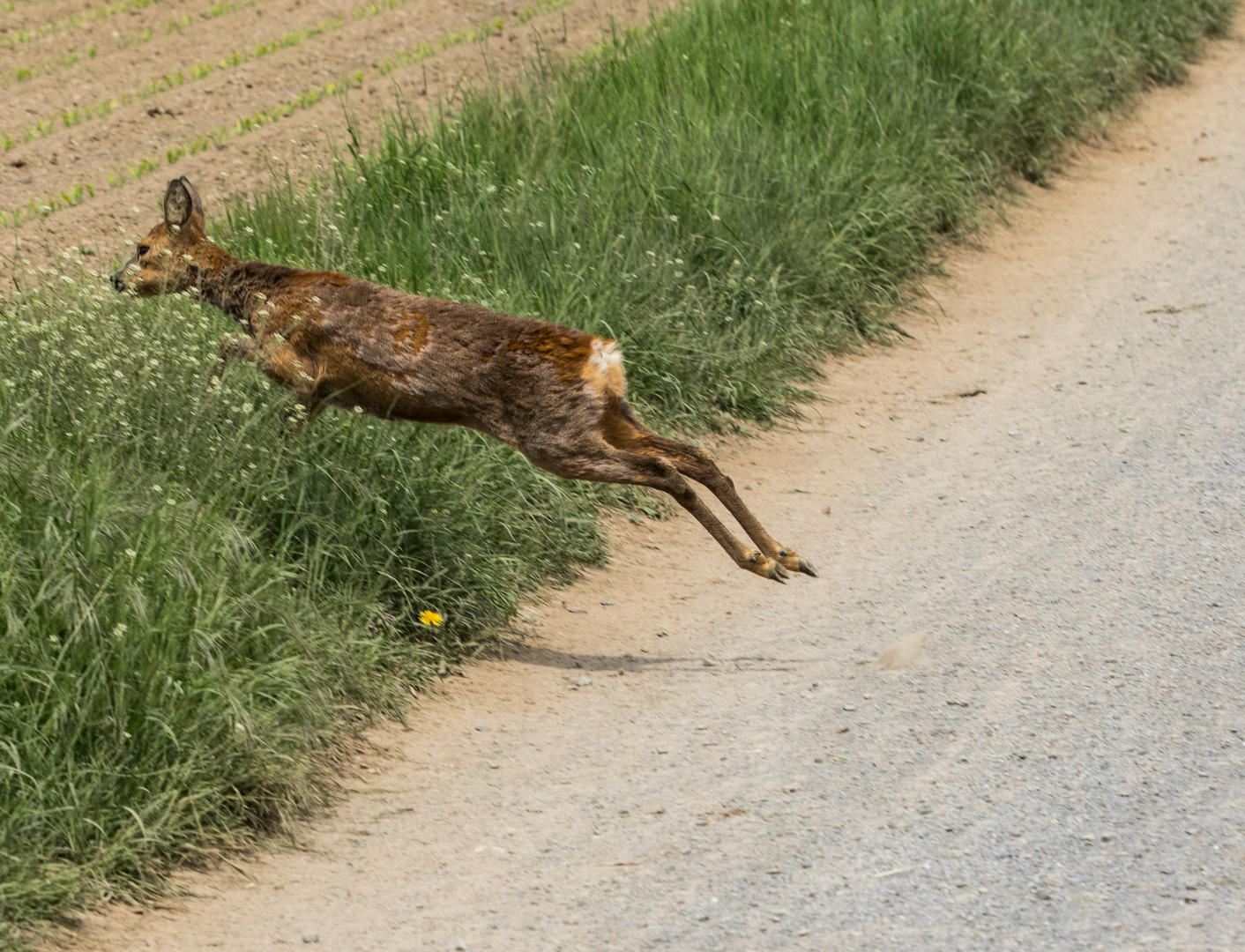 Die Flucht.