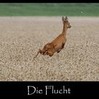 Die Flucht