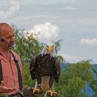 Die Flugschau beginnt 