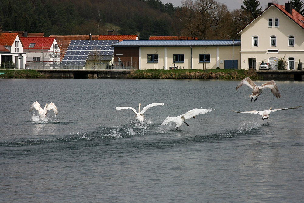 Die " Flugschule " hatte geöffnet