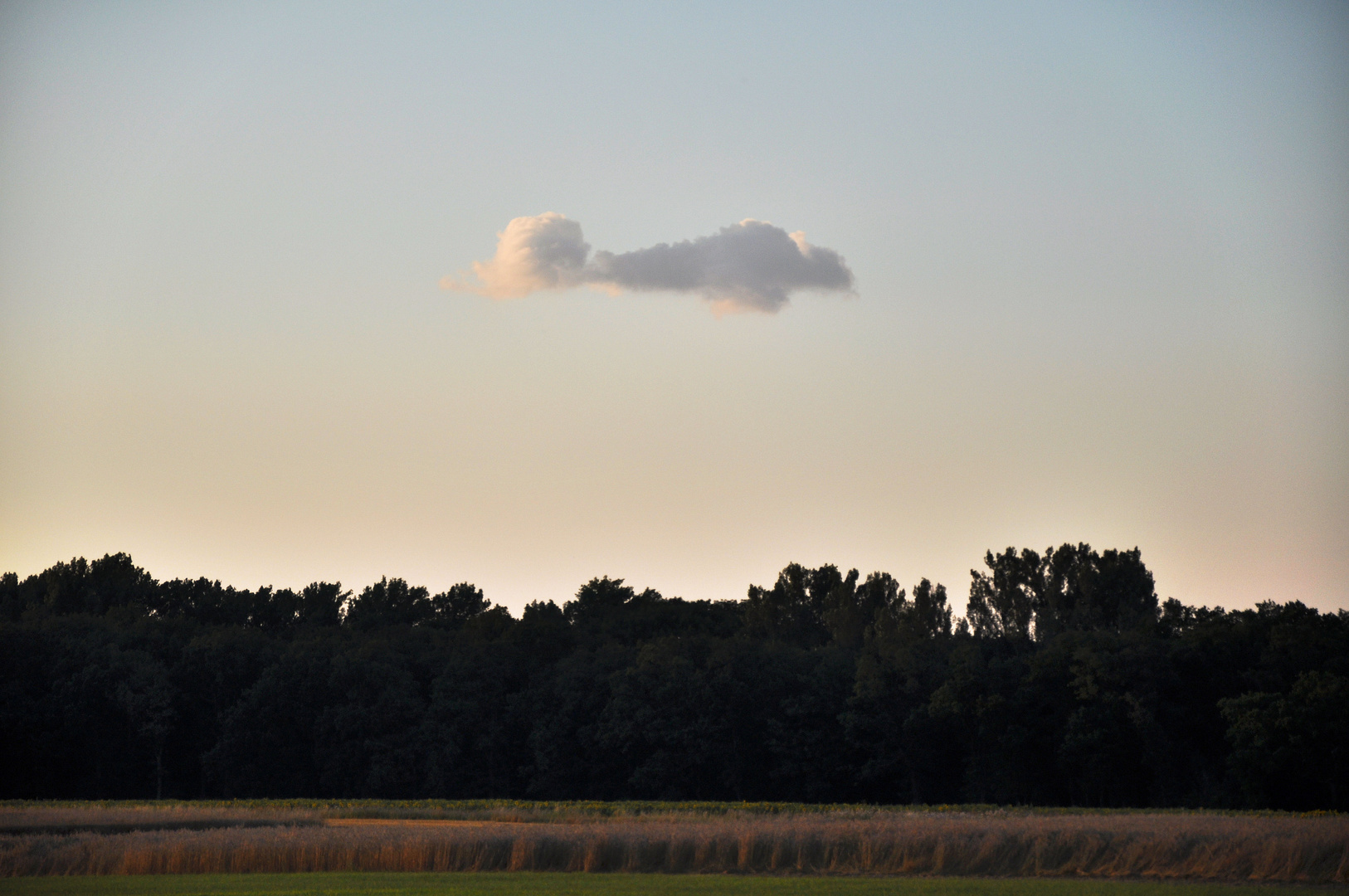 Die Flugzeugwolke