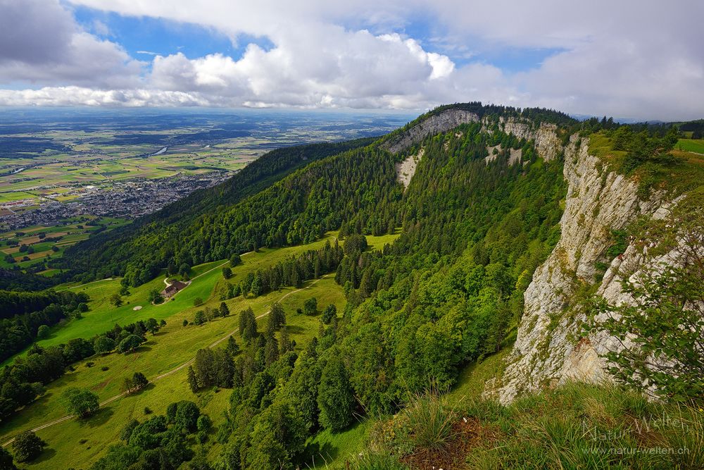 Die Fluh des Grenchenbergs