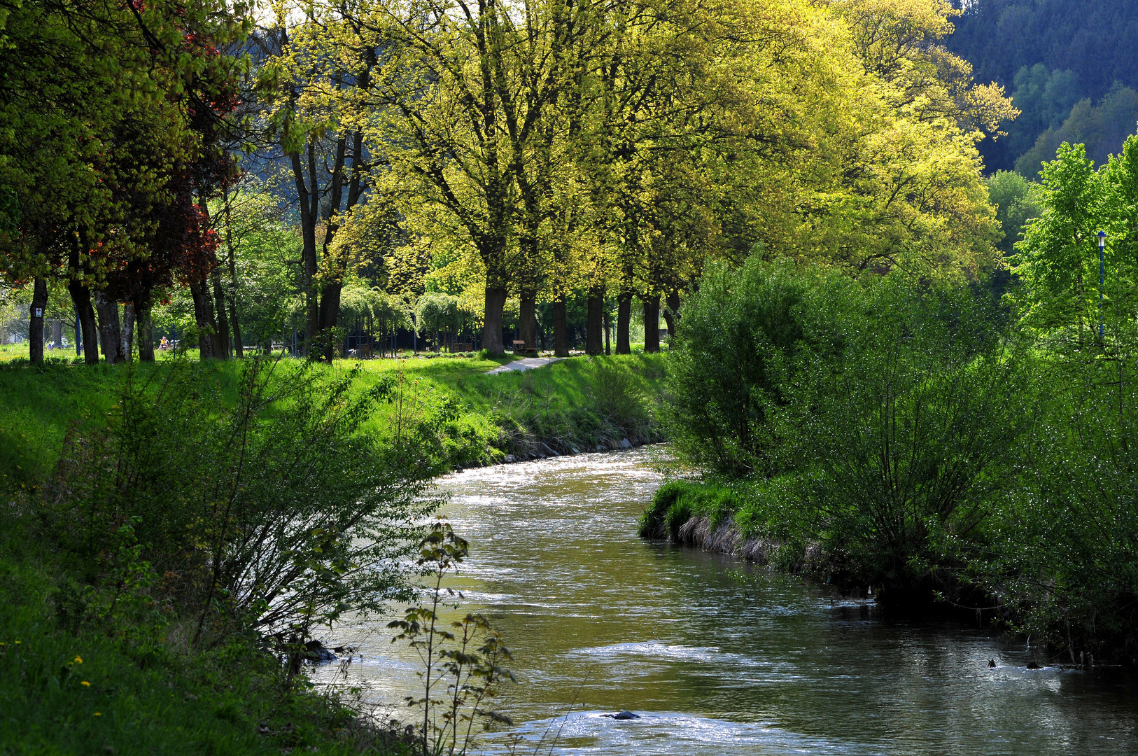 Die Flussbiegung