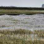 Die Flut kommt plötzlich und heftig