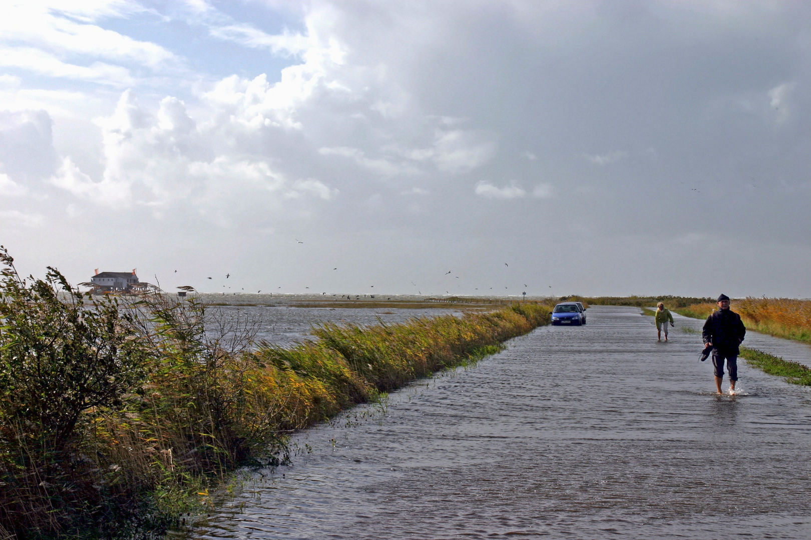 Die Flut steigt und steigt, nun aber zurück! St. Peter-Ording, Dorf Vorland....