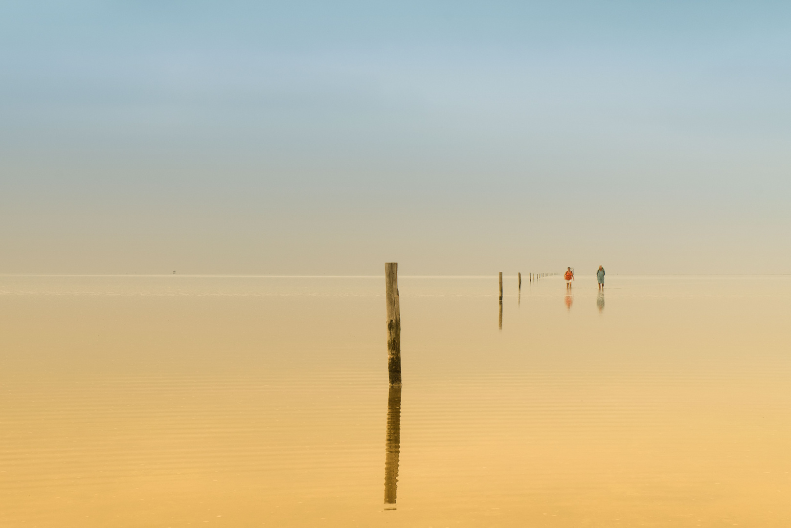 Die Flut: Wattwanderung bei Westerhever