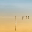 Die Flut: Wattwanderung bei Westerhever