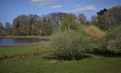 Die Flutmulde, Haren