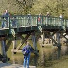 ......die Foddonasen von Brücke 10 sind gut aufgestellt.....