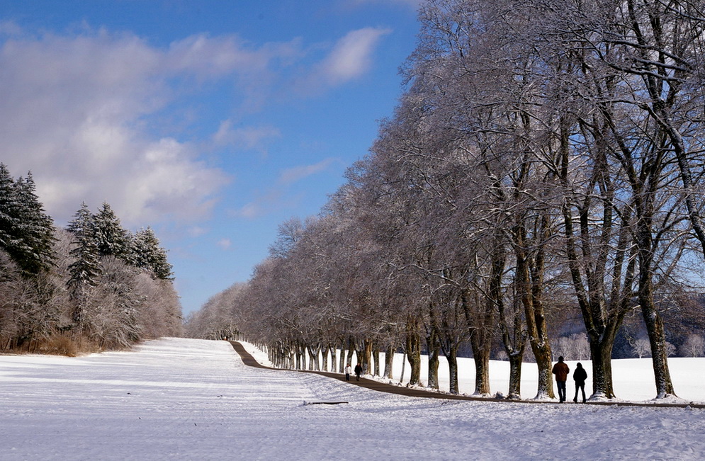 Die Fohlenhof-Allee