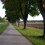 Die Fohlenhofallee in St. Johann