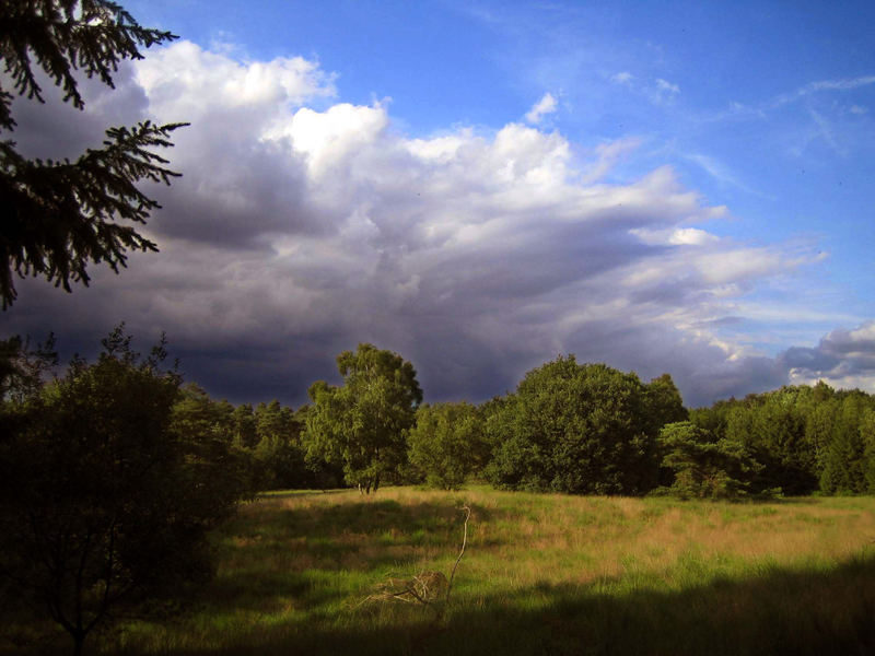 Die Folge - ein heftiges Gewitter -