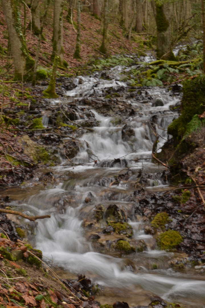 Die Form des Wassers