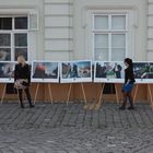 Die Fotogalerie