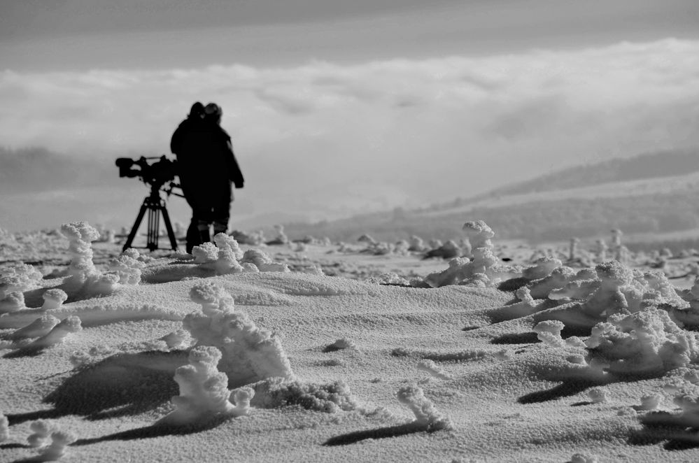 die Fotografen...