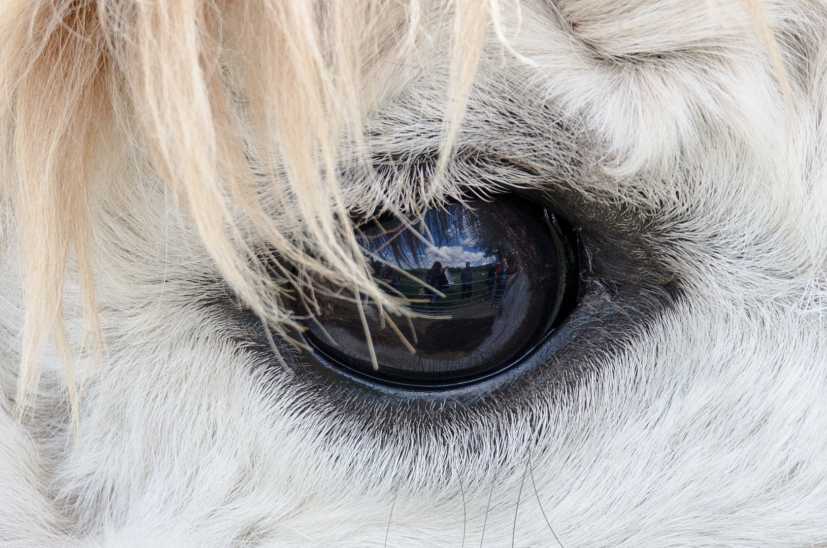 Die Fotografin im Auge