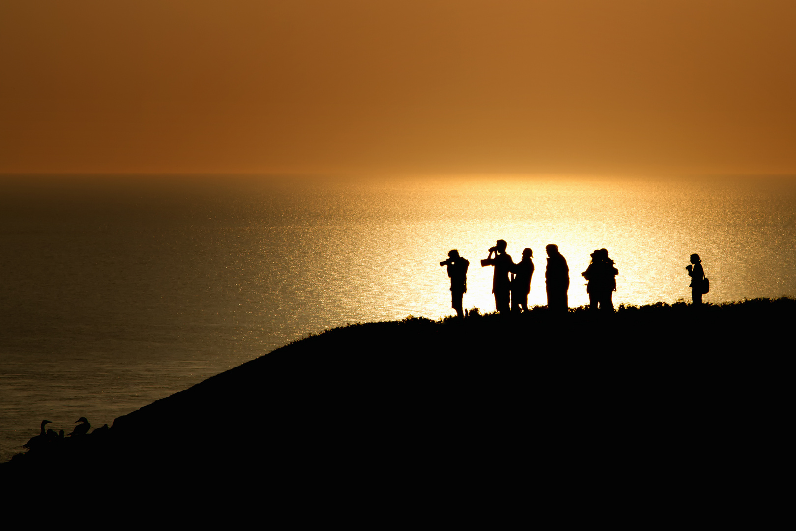 " Die Fotoprofis in Helgoland "