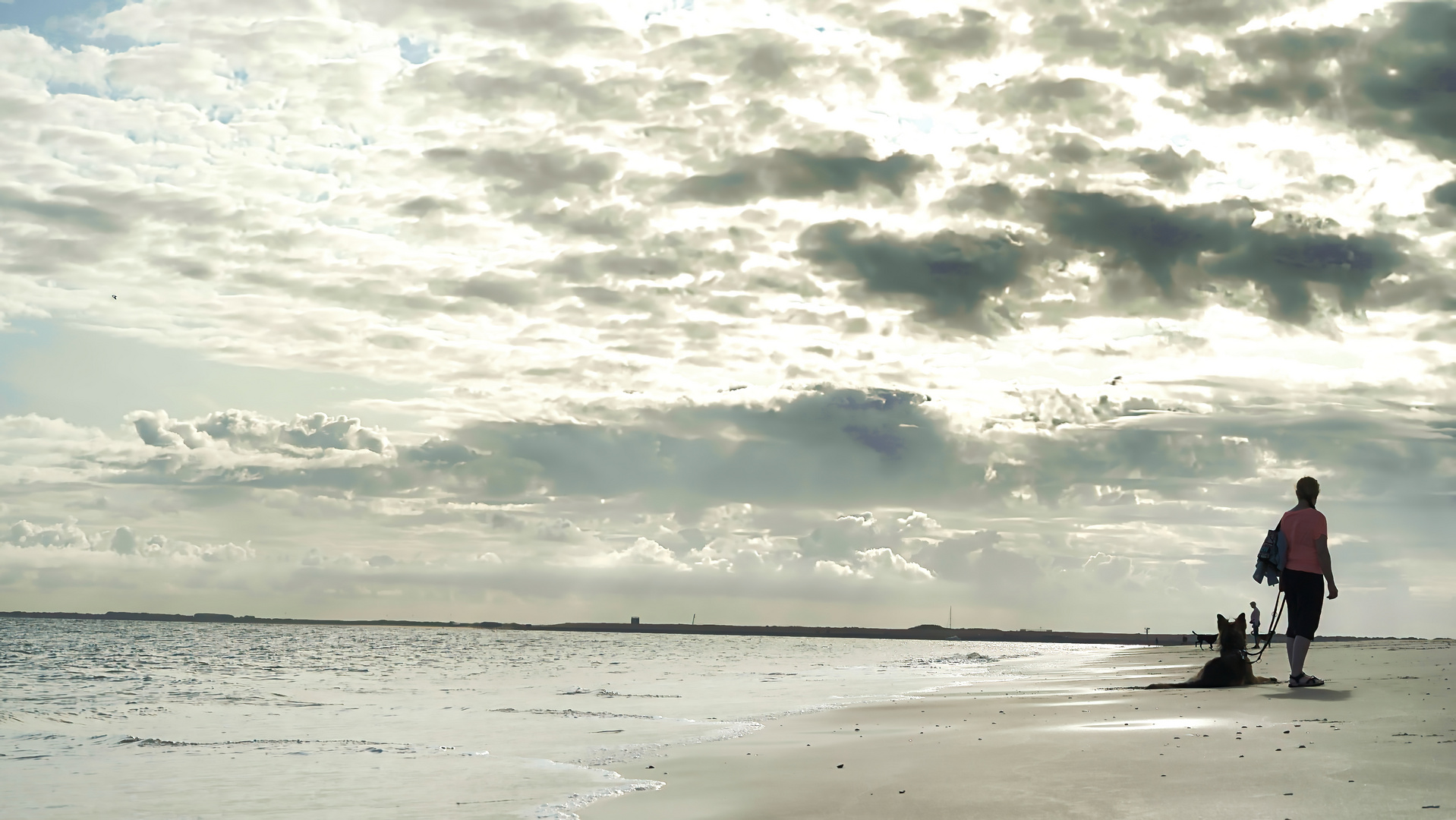 Die Frau der Hund uns das Meer