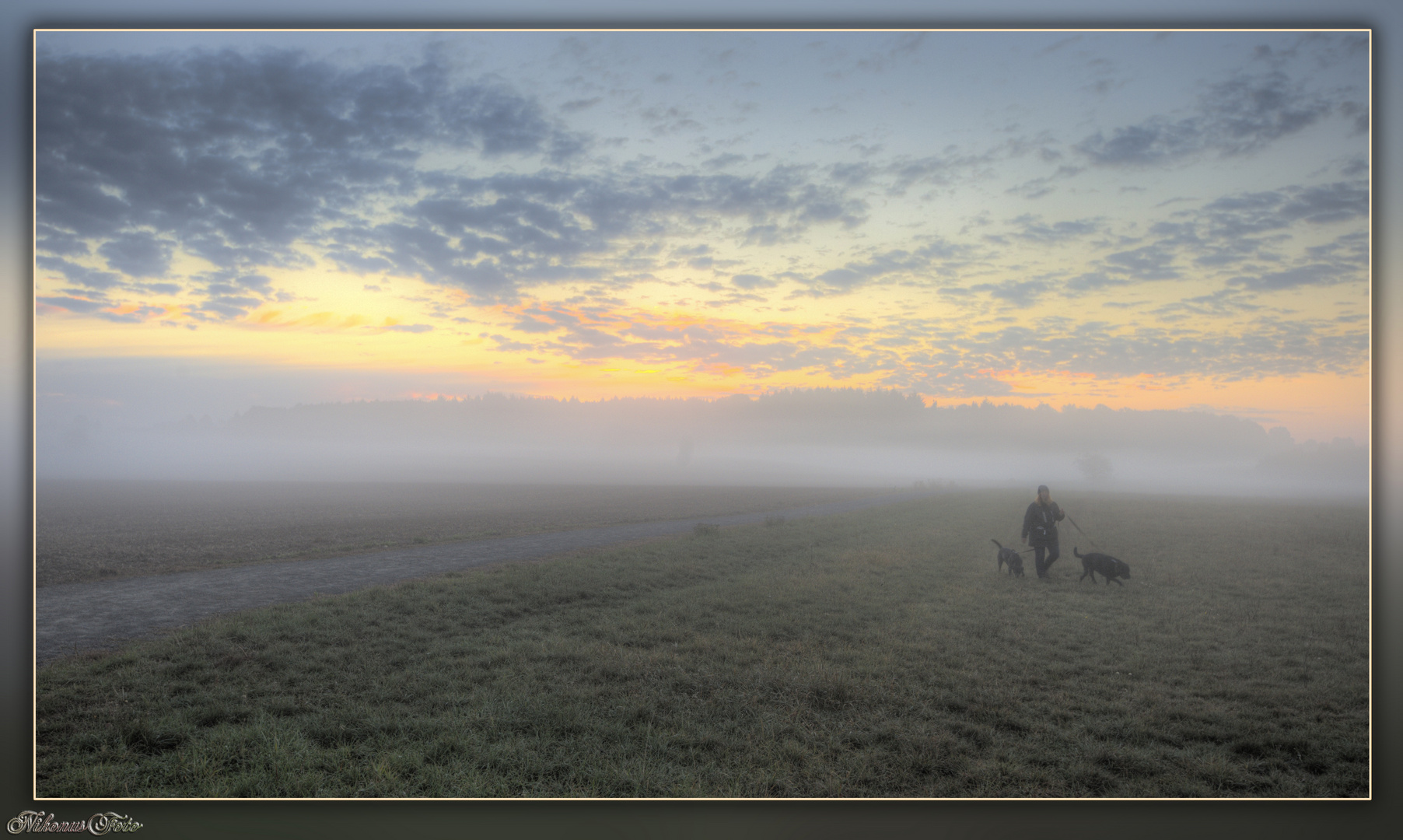 die Frau die aus dem Nebel kam