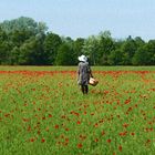 Die Frau im Mohnfeld