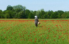 Die Frau im Mohnfeld