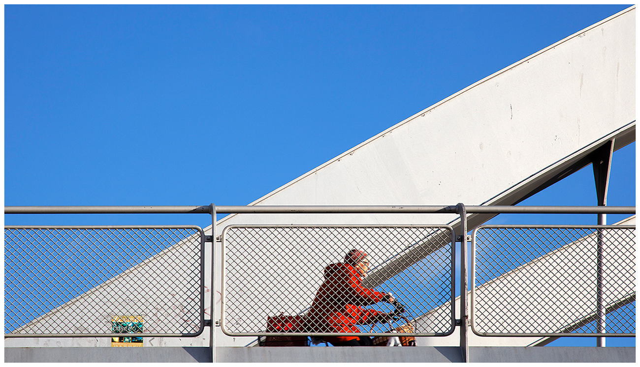 Die Frau in Rot