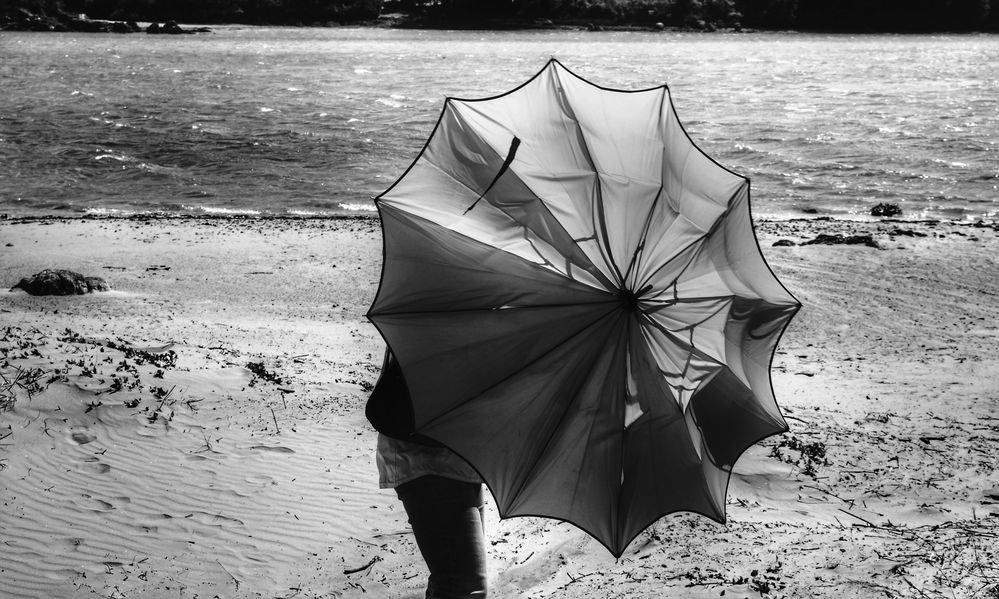 Die Frau mit dem Regenschirm (119);  ..... gegen den Wind!